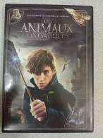 DVD - Les Animaux Fantastiques (J. K. Rowling) - Autres & Non Classés