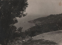 55605 - Jugoslawien - Podgora - 1954 - Yougoslavie