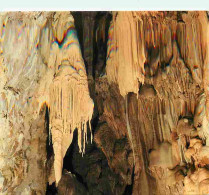 48 - Meyrueis - Grotte De Dargilan - Draperie Et L'oreille D'éléphant - Carte Neuve - CPM - Voir Scans Recto-Verso - Meyrueis