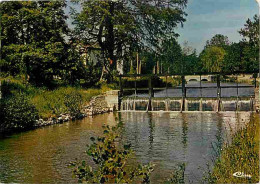 45 - La Ferté Saint Aubin - Sur Les Bords Du Cosson - Flamme Postale De La Baule - CPM - Voir Scans Recto-Verso - La Ferte Saint Aubin