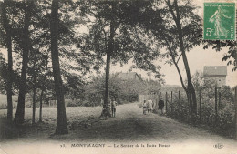 D5229 Montmagny Le Sentier De La Butte Pinson - Montmagny