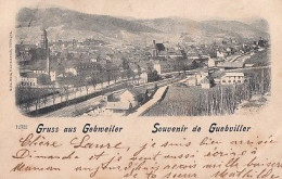 GRUSS AUS GEBWEILER      SOUVENIR DE GUEBVILLER      PREECURSEUR - Guebwiller