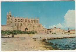 Palma. Catedral - (Baleares, Espana/Spain) - Palma De Mallorca