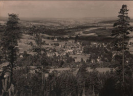 43390 - Erlbach - Mit Markneulirchen - Vom Kegelberg - 1965 - Erlbach-Kirchberg