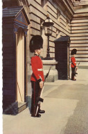 CPSM - S - ANGLETERRE - LONDON - LONDRES - IRISH GUARDS ON SENTRY DUTY AT BUCKINGHAM PALACE - Buckingham Palace