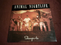 ANIMAL NIGHTLIFE - Rock