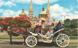 MEXIQUE - Guadalajara - Cathedral And Calash - Colorisé - Carte Postale - Mexique