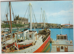 10  Mallorca. Palma - La Catedral Desde El Muelle De Pescadores - (Baleares, Espana/Spain) - Palma De Mallorca