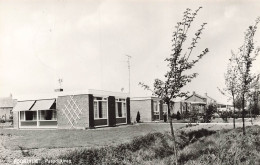 PAYS BAS - Tholen -  Poortvliet - Paasdijkweg- Carte Postale - Tholen