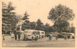 BELGIQUE  TERVUREN    La Domestification De L'éléphant - Tervuren