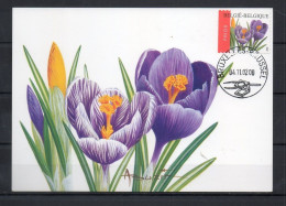 Année 2002 : Carte Maximum 3141 - Crocus Vernus - Buzin - Obli. Bruxelles-Brussel - 2001-2010