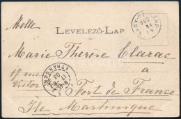 1903 TCV Képeslap Turul 10f Bérmentesítéssel Martinique Szigetére Küldve / TCV Postcard To Martinique "NAGY-CZIGÁND" - " - Altri & Non Classificati