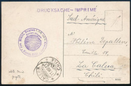 1913 TCV Képeslap Turul 2f és 3f Bérmentesítéssel Nyomtatványként Chilébe Küldve / TCV Postcard Used As Printed Matter T - Otros & Sin Clasificación