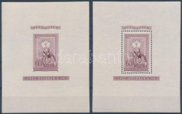 ** 1951 Lila Blokkpár, Szép Minőségű (a Vágott Apró Papírránccal) (900.000) / Mi Block 20 Lilac Perforate And Imperforat - Autres & Non Classés