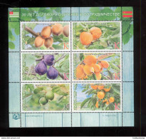 Label Transnistria 2023 Fruits Of Abkhazia Sheetlet**MNH - Vignettes De Fantaisie