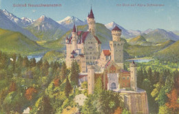 Schloss Neuschwanstein Im Allgäu Ngl #136.210 - Châteaux