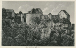 Burg Wildenstein Bei Leibertingen Donautal Ngl #136.262 - Châteaux