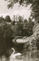 Schloss Hohenschwangau Mit Alpsee Gl1960 #136.123 - Castles