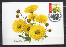 Année 2005 : Carte Maximum 3432 - Chrysanthème - Buzin - Obli. Bruxelles-Brussel - 2001-2010