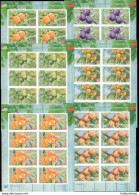 Label Transnistria 2023 Fruits Of Abkhazia 6 Sheetlets**MNH Imperforated - Fantasy Labels
