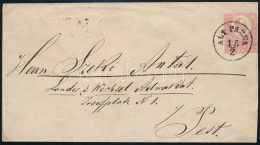 1873 5kr Díjjegyes Boríték / PS-cover "ALT PAZUA" - Other & Unclassified