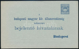 1902 5f Díjjegyes Rendőrségi Bejelentő Lap, Használatlan / Change Of Address PS-card, Unused - Andere & Zonder Classificatie