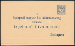 1910 5f Díjjegyes Rendőrségi Bejelentő Lap, Használatlan / Change Of Address PS-card, Unused - Autres & Non Classés