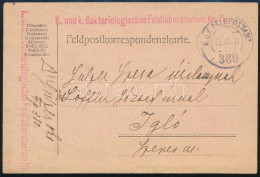 1917 Tábori Posta Levelezőlap / Field Postcard "K. Und K. Bakteriologisches Feldlaboratorium Nr. 71." + "FP 380" - Autres & Non Classés