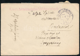 1918 Tábori Posta Boríték / Field Post Cover "K. Und K. Bakteriologisches Feldlaboratorium Nr.71." + "FP 547" - Otros & Sin Clasificación