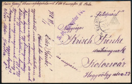 1917 Tábori Posta Képeslap / Field Postcard "S.M. Dampfer IV." - Sonstige & Ohne Zuordnung