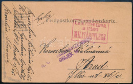 1917 Tábori Posta Levelezőlap / Field Postcard "K.u.k. EPIDEMIESPITAL IN BRSADIN" - Otros & Sin Clasificación