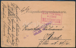 1917 Tábori Posta Levelezőlap / Field Postcard "K.u.k. EPIDEMIESPITAL IN BRSADIN" - Sonstige & Ohne Zuordnung