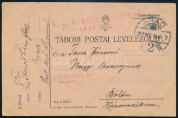 1917 Tábori Posta Levelezőlap / Field Postcard "K.u.K. RESERVESPITAL ARAD. LYCEUM" - Altri & Non Classificati