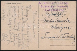 1917 Tábori Posta Képeslap / Field Postcard "K.u.k. Reservespital Szatmár-Németi 5. Abteilung" - Other & Unclassified