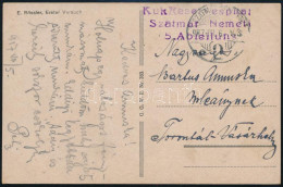 1917 Tábori Posta Képeslap / Field Postcard "K.u.k. Reservespital Szatmár-Németi 5. Abteilung" - Sonstige & Ohne Zuordnung