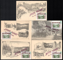 1995/E1a Erdélyi Kiadású Hohe Rinne Centenárium 5 Klf Carte Maximum Emlékívből Származó Bélyegekkel / Souvenir Sheet Col - Other & Unclassified