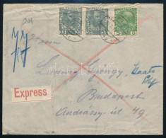 1916 Expressz Levél Budapestre / Express Cover To Hungary - Otros & Sin Clasificación