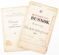 1891-92 Dusnokpuszta (Sajószentpéter) Kisközség Felvételi Előrajzai és Dusnokpuszta Adóközség Határleírása 24 Db Nagy Mé - Unclassified