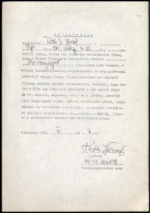 1981 Tóth József, Tóth II. József (1929-2017) Labdarúgó Válogatott Játékos Hozzájáruló Nyilatkozata Az Aranycsapat C. Fi - Autres & Non Classés