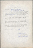 1981 Sebes Gusztáv (1906-1986) A Magyar Labdarúgó Válogatott Edzőjének Hozzájáruló Nyilatkozata Az Aranycsapat C. Filmbe - Other & Unclassified