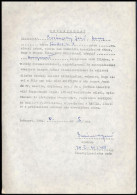 1981 Buzánszky Jenő Válogatott Labdarúgó és Feleségének Hozzájáruló Nyilatkozata Az Aranycsapat C. Filmben Képmásuk Felh - Sonstige & Ohne Zuordnung