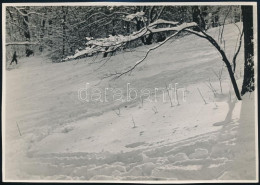 Cca 1933 Kinszki Imre (1901-1945) Budapesti Fotóművész Hagyatékából, Pecséttel Jelzett Vintage Fotó (Sípálya), 11,4x16 C - Altri & Non Classificati