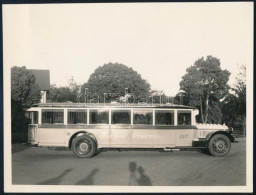 Cca 1930 Pacific Electric Company Nagy Méretű Társalgó Busz Fotója 22x16 Cm / Large Parlor Car Bus Of The Pacific Electr - Autres & Non Classés