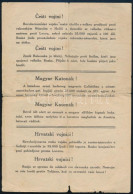 1914 Oroszok által Készített ötnyelvű (magyar, Cseh, Horvát, Román, Lengyel) Röplap A Galíciai Csatában Aratott Győzelmü - Autres & Non Classés