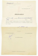 Ca 1917 S.M.D. X. Osztrák Magyar Szállító Hadihajó Ellátmányokat Listázó Nyomtatvány Az Ellátmányok Részletes Felsorolás - Other & Unclassified