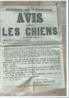 Affiche Mairie De Limoges Haute Vienne Avis Concernant Chiens 1861 Interdiction De Circuler Chien Non Tenus En Laisse - Posters