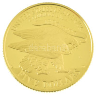 Amerikai Egyesült Államok 1995W 5$ Au "Atlantai Olimpia 1996 - Fáklyavivő" (8,35g/0.900) T:PP / USA 1995W 5 Dollars Au " - Unclassified