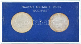 1969. 50Ft Ag + 100Ft Ag "Tanácsköztársaság" érmepár Eredeti "MNB" Plasztiktokban T:BU Patina Hungary 1969. 50 Forint Ag - Unclassified