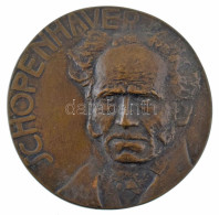 Antal Sándor (1882-1944) 1907. "Schopenhauer" Egyoldalas Bronz Plakett (~89-90mm) T:AU / Hungary 1907. "Schopenhauer" On - Non Classés