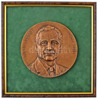 Domonkos Béla (1934-2020) DN "Wass Albert 1908-1998" Egyoldalas, öntött Bronz Plakett Keretben (160mm, Keret: 270x269mm) - Zonder Classificatie